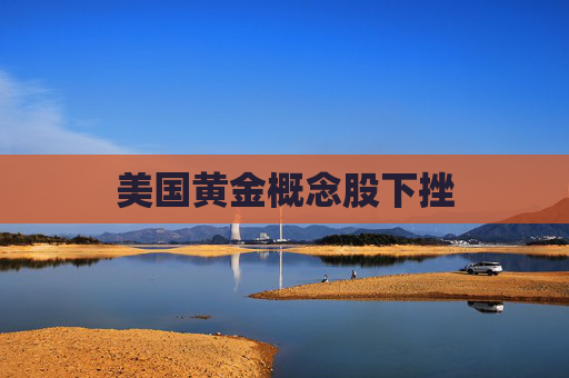 美国黄金概念股下挫