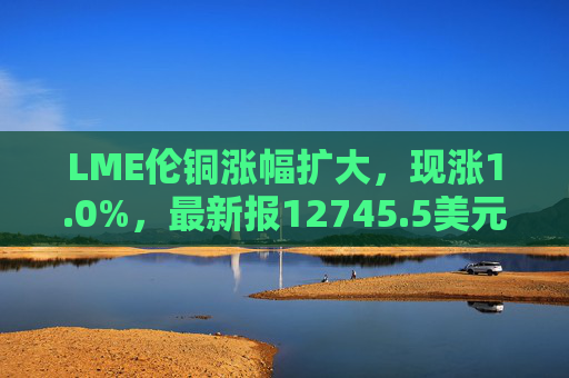 LME伦铜涨幅扩大，现涨1.0%，最新报12745.5美元/吨