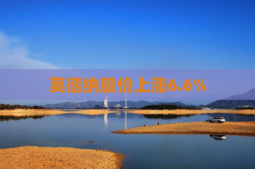 莫德纳股价上涨6.6%