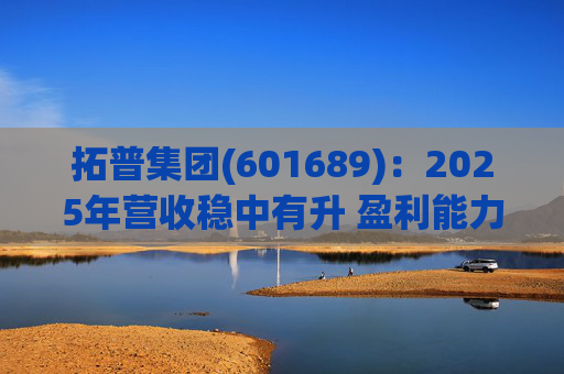 拓普集团(601689)：2025年营收稳中有升 盈利能力短期承压