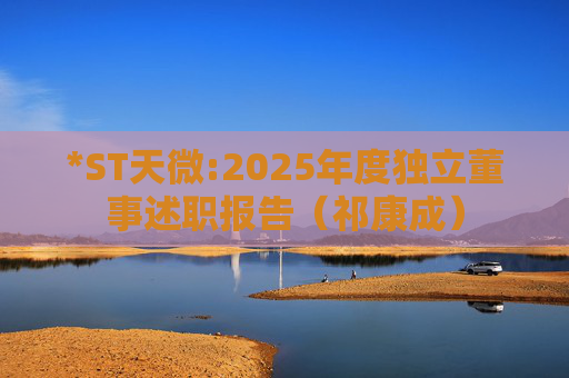 *ST天微:2025年度独立董事述职报告（祁康成）