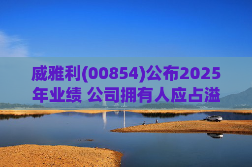 威雅利(00854)公布2025年业绩 公司拥有人应占溢利5095.8万港元