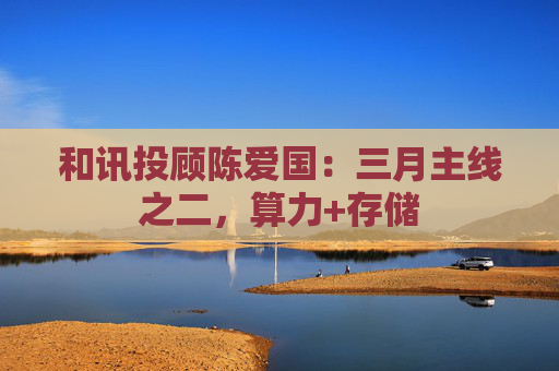 和讯投顾陈爱国：三月主线之二，算力+存储  第1张