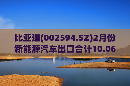 比亚迪(002594.SZ)2月份新能源汽车出口合计10.06万辆