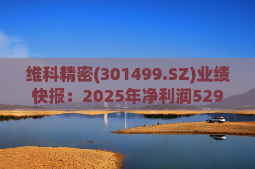 维科精密(301499.SZ)业绩快报：2025年净利润5293.82万元 同比增长16.85%  第1张
