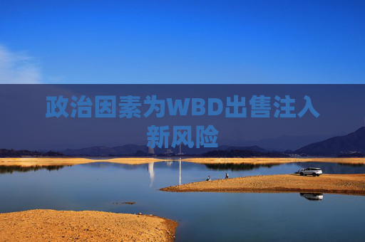 政治因素为WBD出售注入新风险