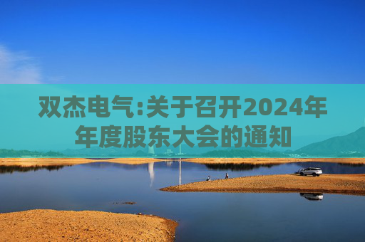 双杰电气:关于召开2024年年度股东大会的通知