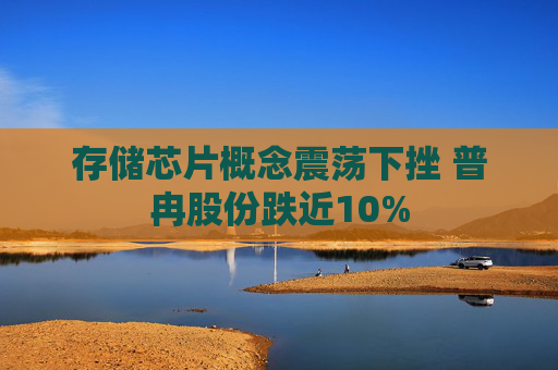 存储芯片概念震荡下挫 普冉股份跌近10%