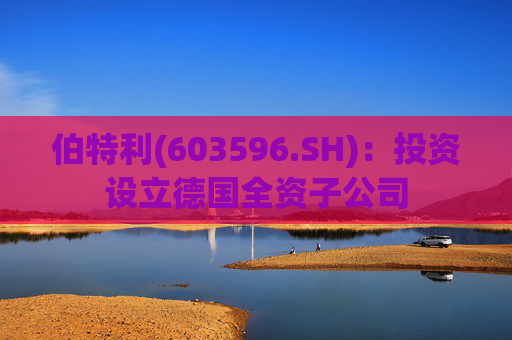 伯特利(603596.SH)：投资设立德国全资子公司  第1张