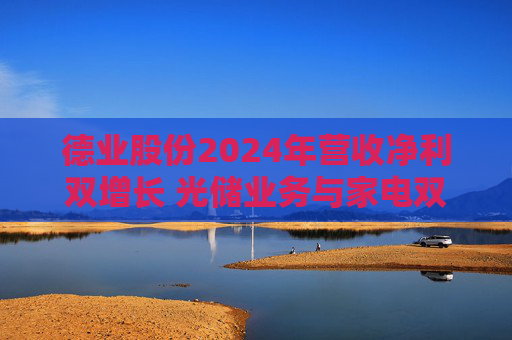 德业股份2024年营收净利双增长 光储业务与家电双轮驱动发力