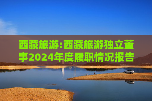 西藏旅游:西藏旅游独立董事2024年度履职情况报告（高金波）