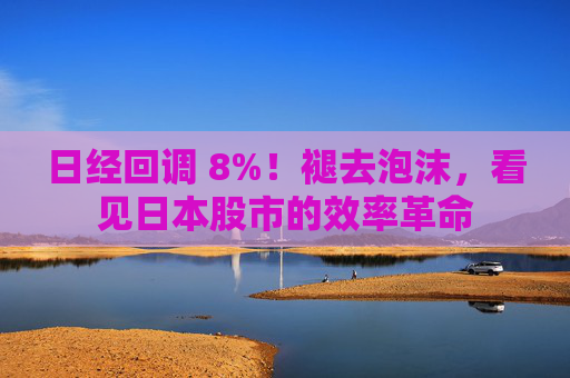 日经回调 8%！褪去泡沫，看见日本股市的效率革命  第1张