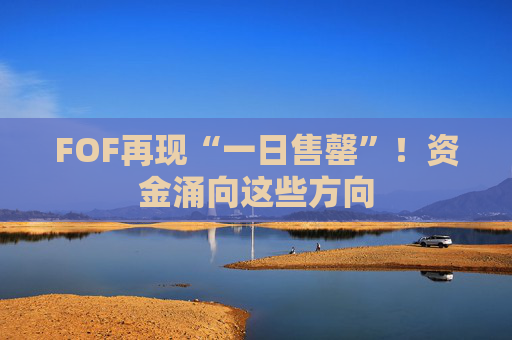 FOF再现“一日售罄”！资金涌向这些方向  第1张