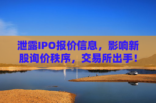 泄露IPO报价信息，影响新股询价秩序，交易所出手！