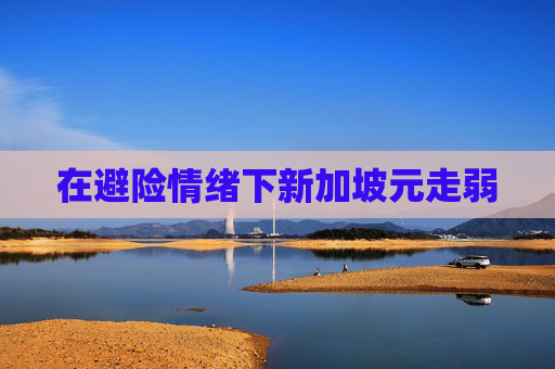 在避险情绪下新加坡元走弱