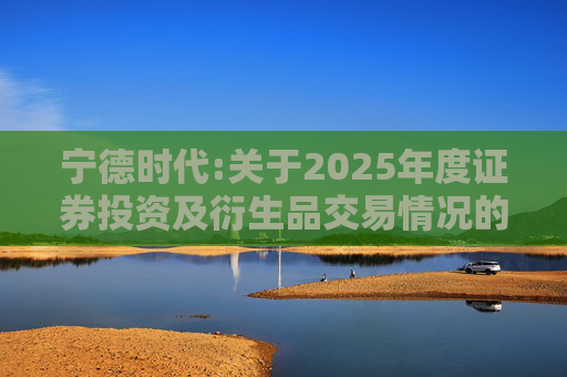 宁德时代:关于2025年度证券投资及衍生品交易情况的专项说明