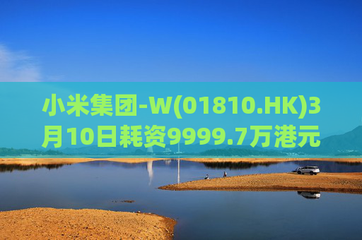 小米集团-W(01810.HK)3月10日耗资9999.7万港元回购297.7万股