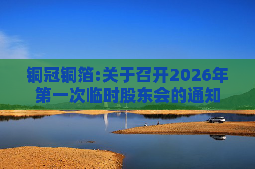 铜冠铜箔:关于召开2026年第一次临时股东会的通知