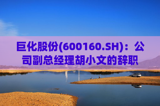巨化股份(600160.SH)：公司副总经理胡小文的辞职