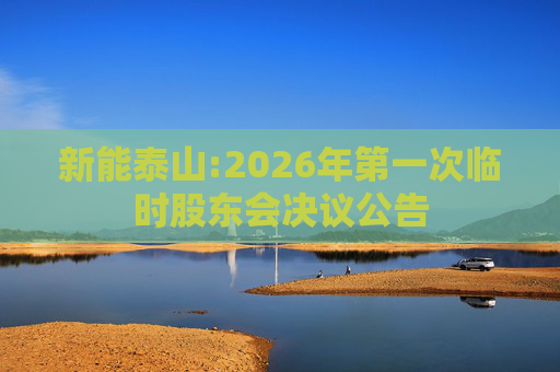 新能泰山:2026年第一次临时股东会决议公告
