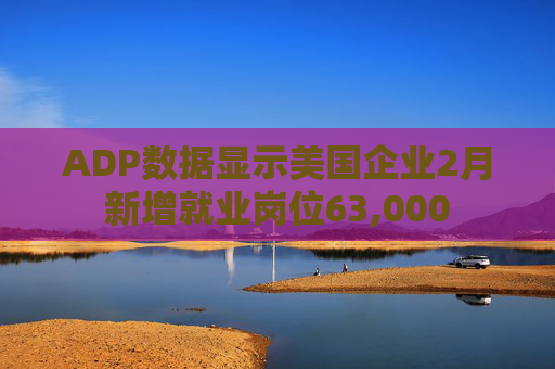 ADP数据显示美国企业2月新增就业岗位63,000