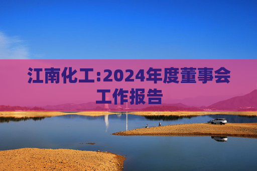 江南化工:2024年度董事会工作报告