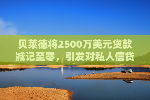 贝莱德将2500万美元贷款减记至零，引发对私人信贷的担忧
