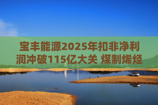 宝丰能源2025年扣非净利润冲破115亿大关 煤制烯烃龙头迎高光时刻