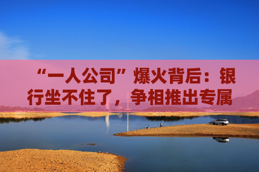 “一人公司”爆火背后：银行坐不住了，争相推出专属金融方案  第1张