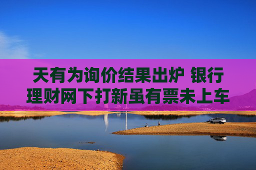 天有为询价结果出炉 银行理财网下打新虽有票未上车