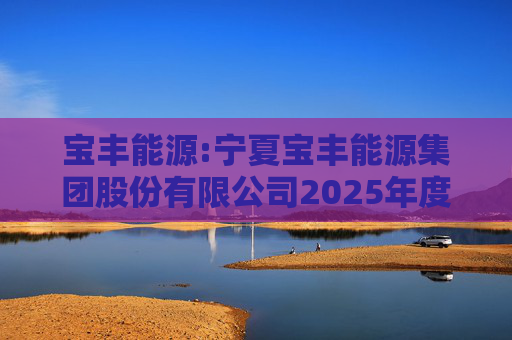 宝丰能源:宁夏宝丰能源集团股份有限公司2025年度独立董事述职报告（孙积禄）