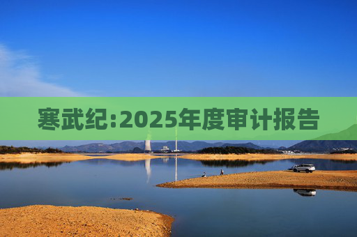 寒武纪:2025年度审计报告