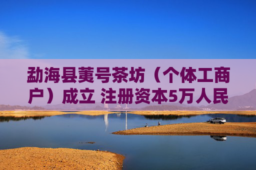 勐海县荑号茶坊（个体工商户）成立 注册资本5万人民币  第1张
