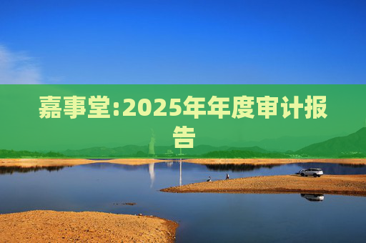 嘉事堂:2025年年度审计报告