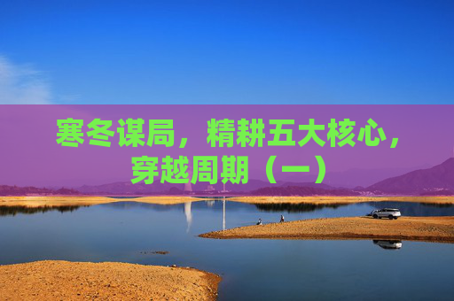 寒冬谋局，精耕五大核心，穿越周期（一）  第1张