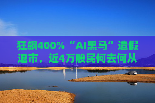 狂飙400%“AI黑马”造假退市，近4万股民何去何从？