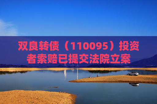 双良转债（110095）投资者索赔已提交法院立案