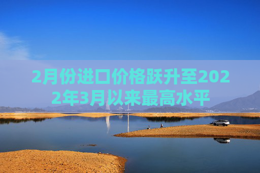 2月份进口价格跃升至2022年3月以来最高水平