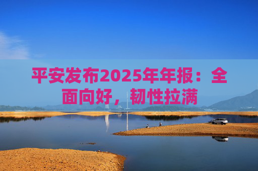平安发布2025年年报：全面向好，韧性拉满