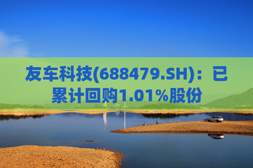 友车科技(688479.SH)：已累计回购1.01%股份
