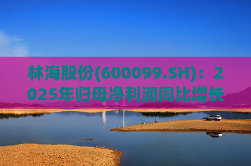 林海股份(600099.SH)：2025年归母净利润同比增长33.24%，每股拟派利0.045元