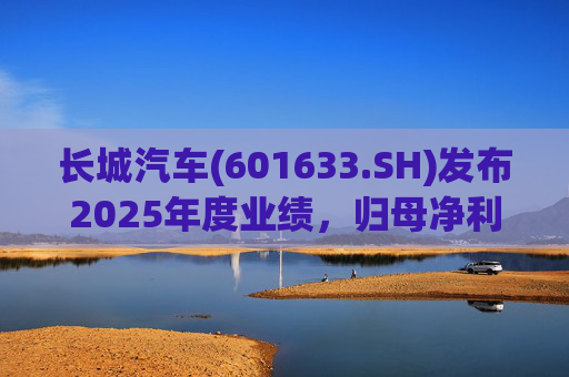 长城汽车(601633.SH)发布2025年度业绩，归母净利润98.65亿元，同比下降22.07%  第1张