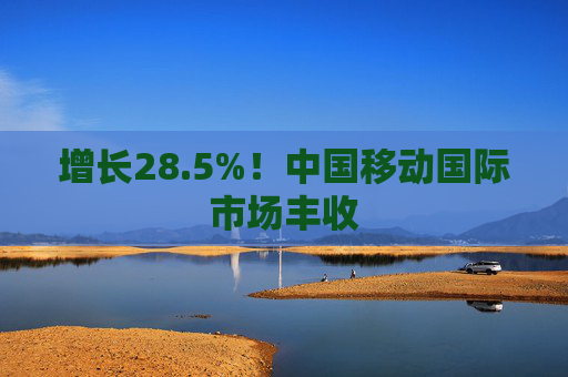 增长28.5%！中国移动国际市场丰收