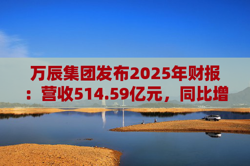 万辰集团发布2025年财报：营收514.59亿元，同比增长59.17%
