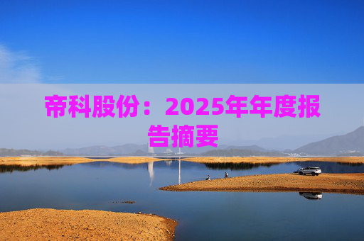 帝科股份：2025年年度报告摘要