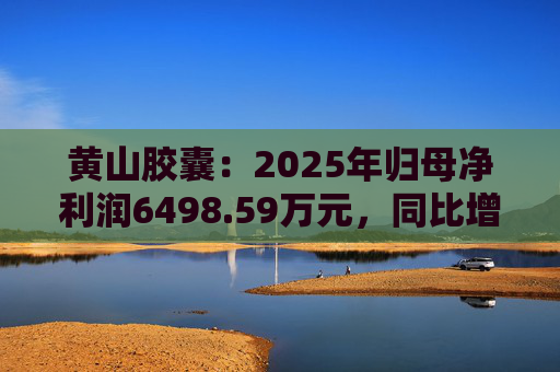 黄山胶囊：2025年归母净利润6498.59万元，同比增长31.94%