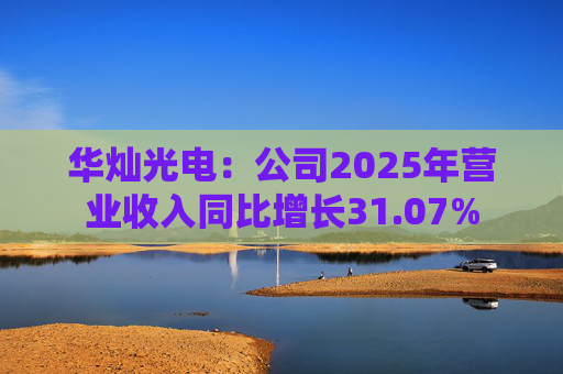 华灿光电：公司2025年营业收入同比增长31.07%