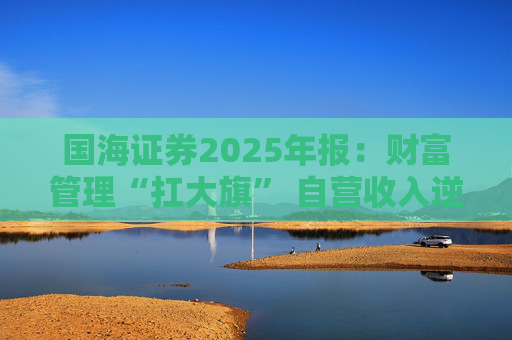 国海证券2025年报：财富管理“扛大旗” 自营收入逆势大降 投行收入占比仅2%