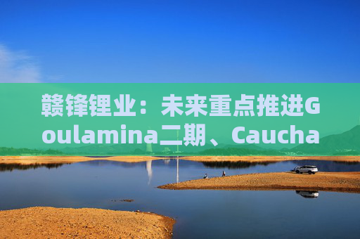 赣锋锂业：未来重点推进Goulamina二期、Cauchari-Olaroz二期及PPGS项目  第1张