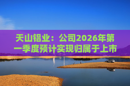 天山铝业：公司2026年第一季度预计实现归属于上市公司股东的净利润220000万元